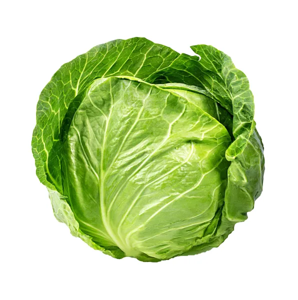 [ ملفوف اخضر حبة][CABBAGE GREEN PCS]