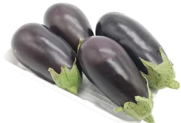 [باذنجان اسود فلين وسط][EGGPLANT BLACK FLING MED]
