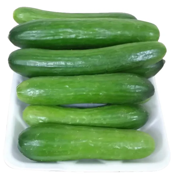 [خيار فلين وسط]  [CUCUMBER FLING MED]