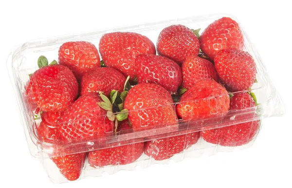 [فراولة اردني علبة][Jordanian Strawberry Box]