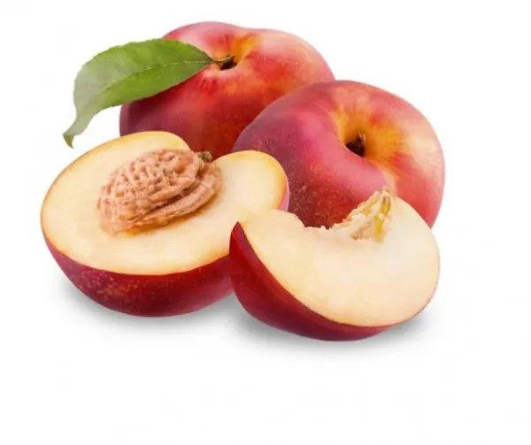 [نكتارين اردني علبة]  [NECTARINE JORDANIAN BOX]