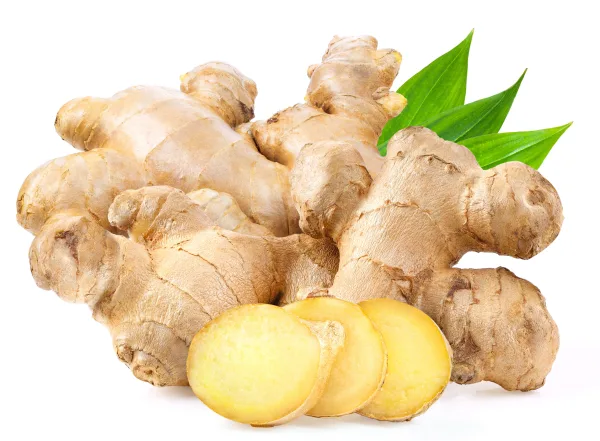 [زنجبيل]   [GINGER KG]